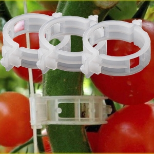 Pomidorų augalų tvirtinimo laikikliai "Geriausias derlius" (50