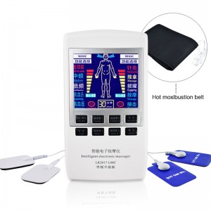 Elektroninis kūno masažuoklis-treniruoklis "Gudrutis" (dvigubo