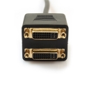 DVI į 2 VGA dalintuvas