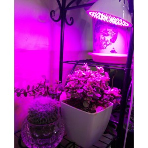 106 LED lemputė augalams "Puikioji šviesa 6"
