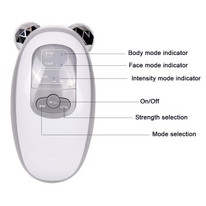 Elektroninis veido ir kūno masažuoklis "Premium Deluxe 3"