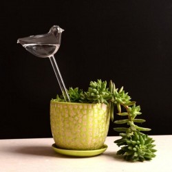 Įsmeigiama stiklinė vaza "Puikusis paukštis" (26 x 11 cm)