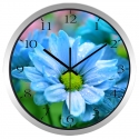 Sieninis lauko laikrodis "Nuostabioji gėlelė"