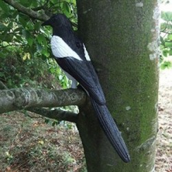 Paukščių baidytuvas "Magpie Bird Scarer"