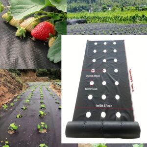 Perforuotas audinys daržovių sodinimui ir piktžolių kontrolės, 39G/kvadratiniam metrui, sodo piktžolių barjeras, 100.0X1000.0 cm perforuota plėvelė, pralaidi orui ir vandeniui, tinkama namams, sodo daržovėms, braškėms ir kitiems daržovių ir vaisių sodinimui