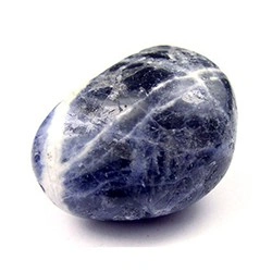 Sodalitas