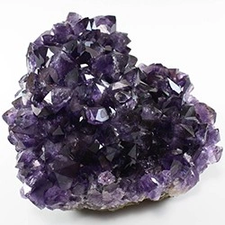 Floritas