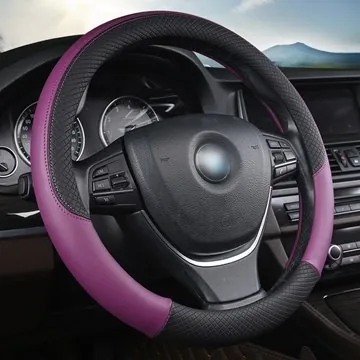 Automobilio vairo apsauga "Aukščiausia klasė 3" (38 cm