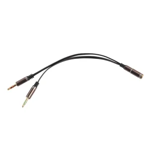 3.5 mm į AUX lizdą jungtis "Deluxe Edition"