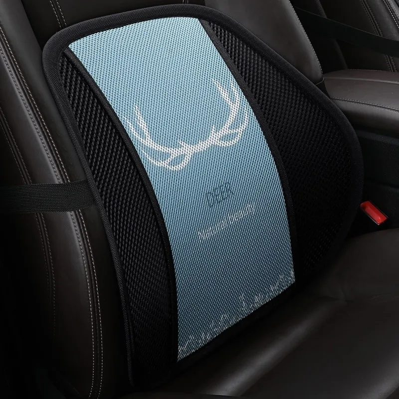 Masažinė nugaros pagalvė automobiliui "Raguotasis"