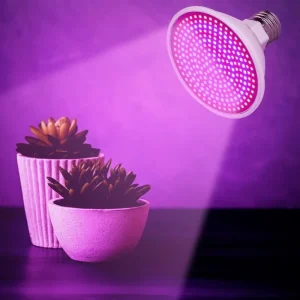 260 LED lemputė augalams "Puikioji šviesa 9"