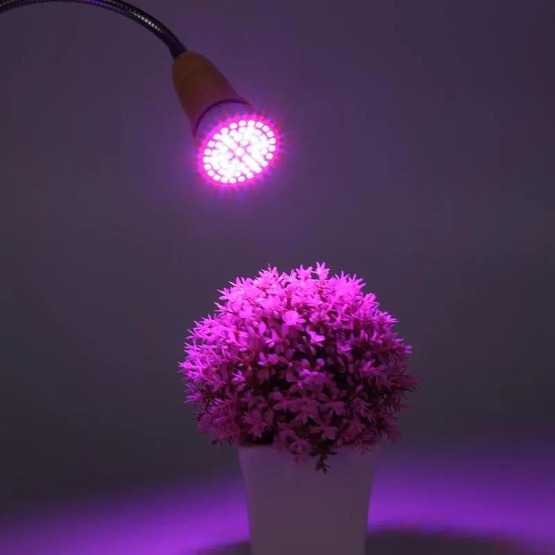 260 LED lemputė augalams "Puikioji šviesa 9"