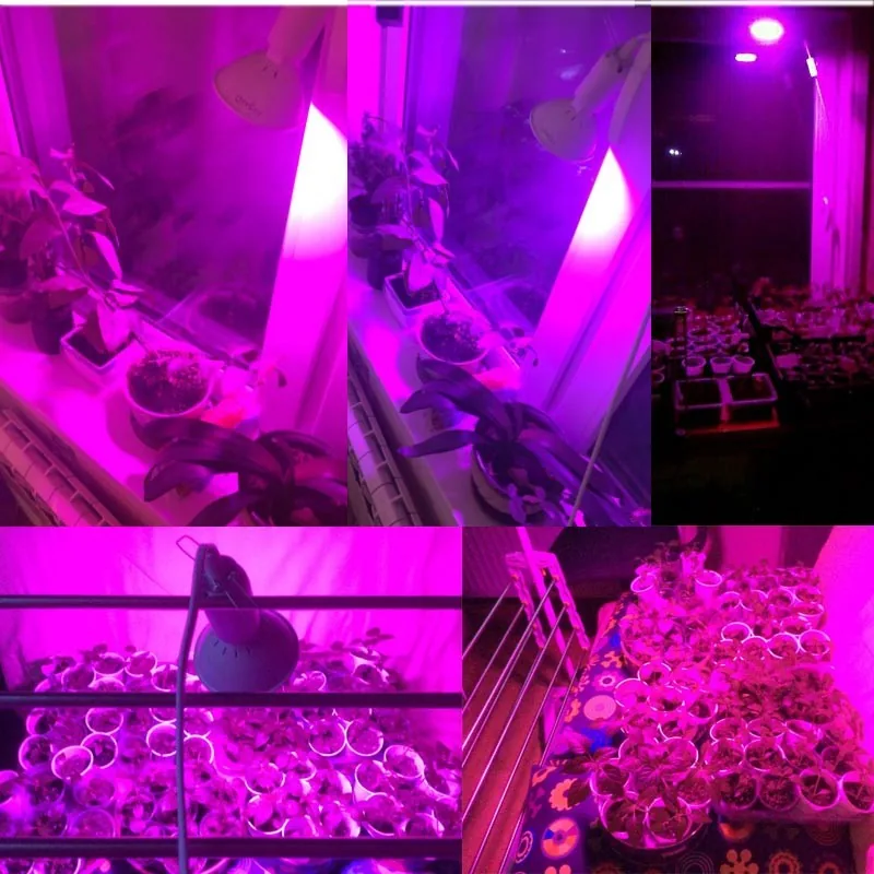 290 LED lemputė augalams "Puikioji šviesa 11"