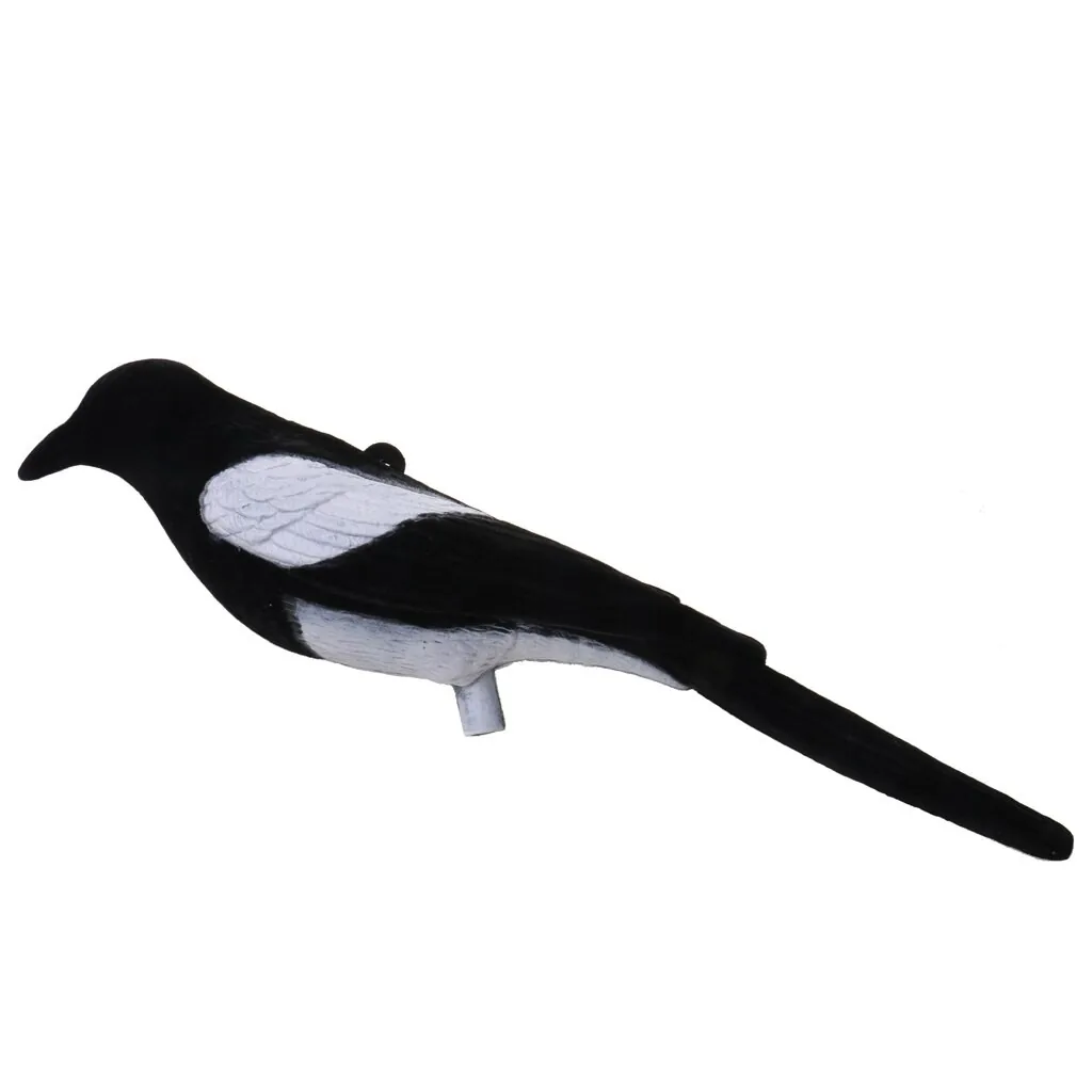 Magpie