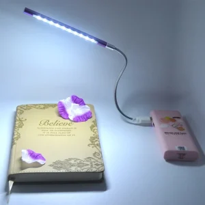 USB LED lankstus šviestuvas "10 LED Luminor"